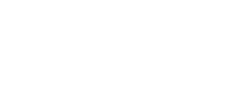 Professional Movers and Packers in Dubai